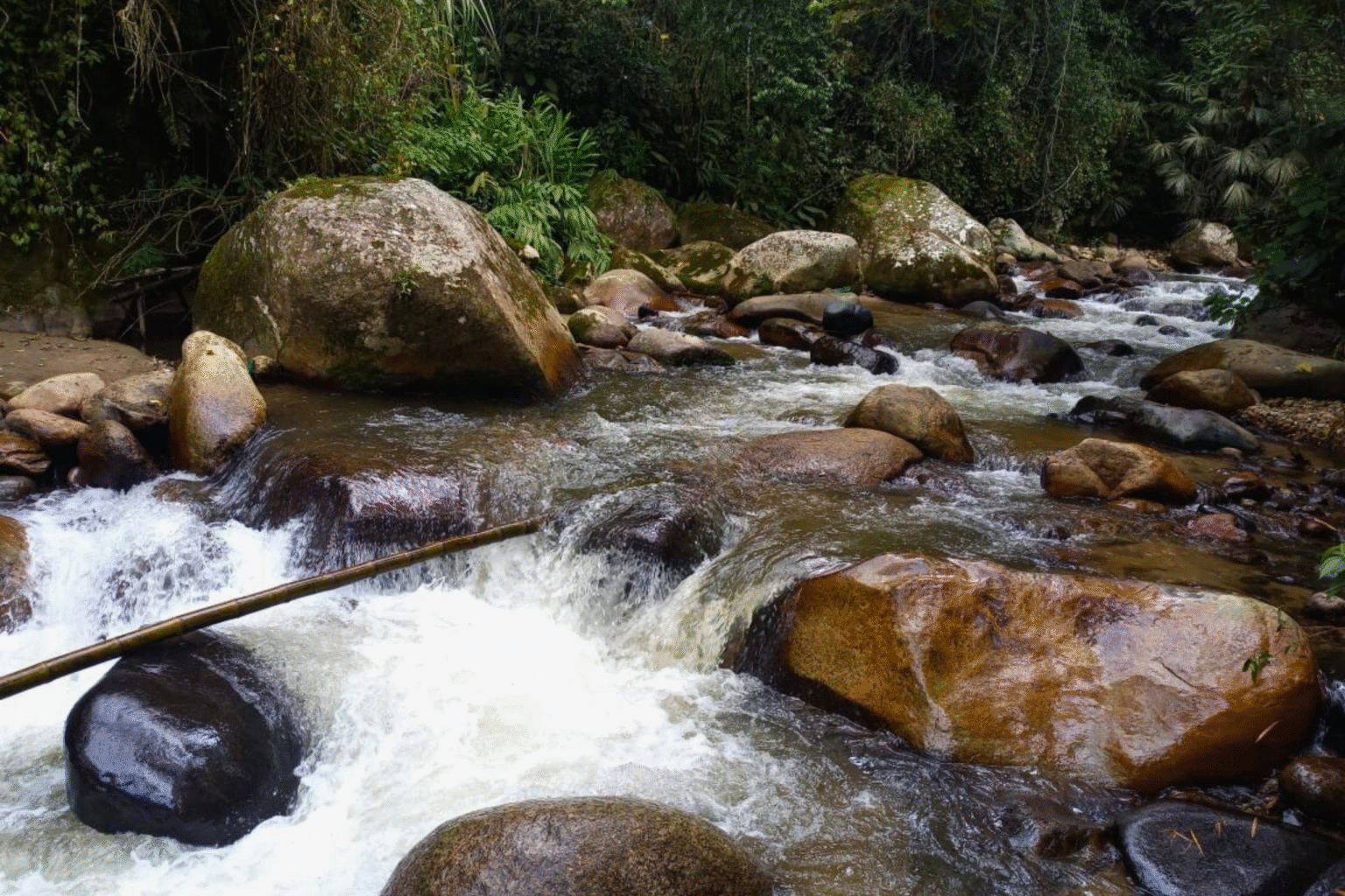 Finca El Cedral (10)