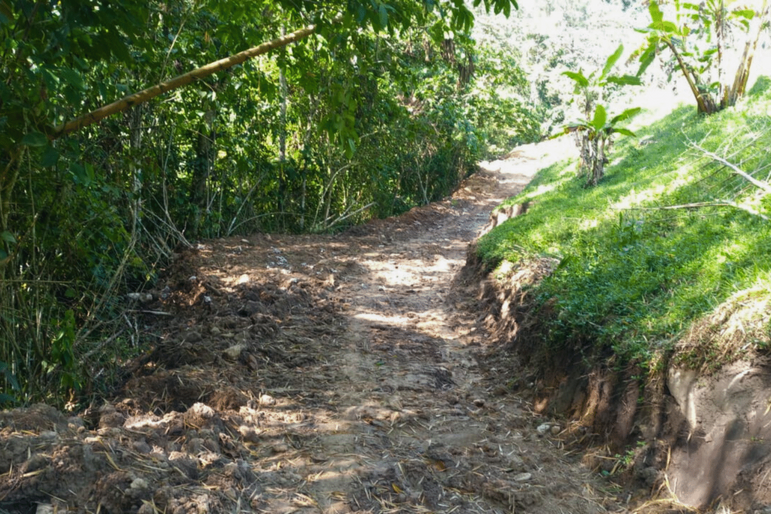 Finca El Cedral (9)